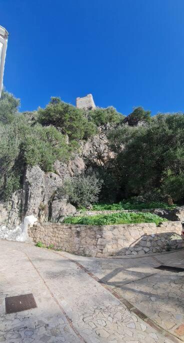 Entre Vistas Guest House Zahara De La Sierra Exterior photo